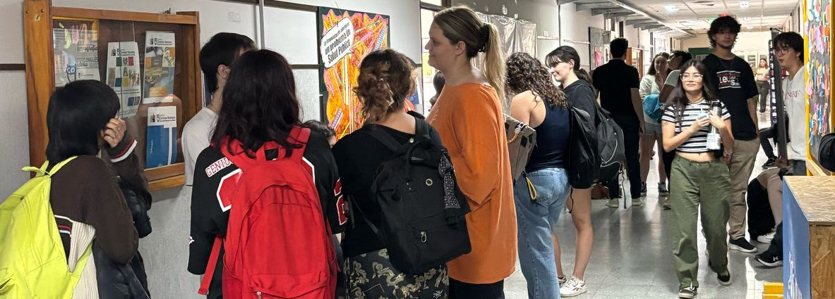 Asignaturas de licenciaturas bajo modalidad distancia